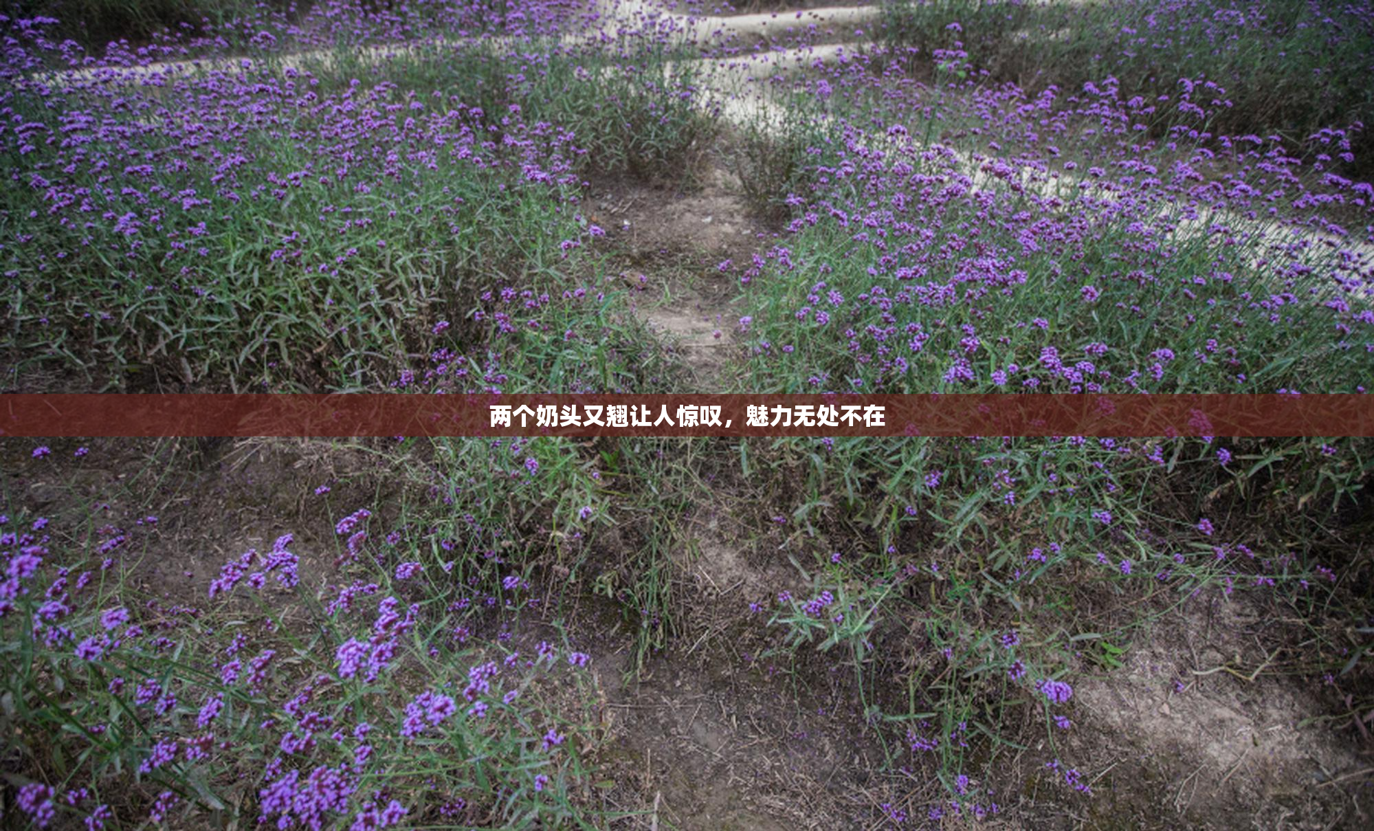 两个奶头又翘让人惊叹，魅力无处不在