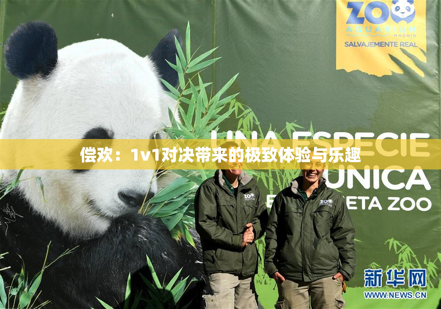 偿欢：1v1对决带来的极致体验与乐趣