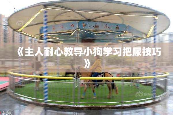 《主人耐心教导小狗学习把尿技巧》