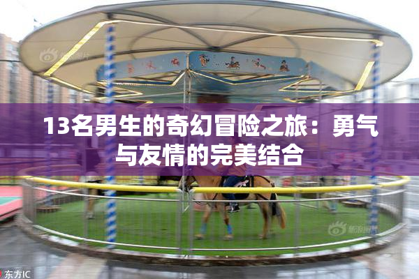 13名男生的奇幻冒险之旅：勇气与友情的完美结合