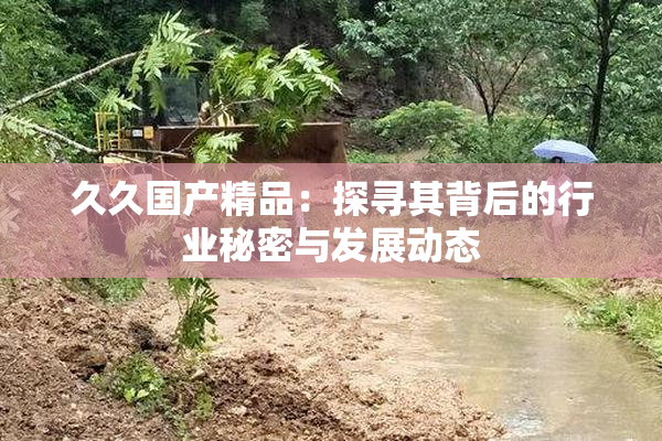久久国产精品：探寻其背后的行业秘密与发展动态