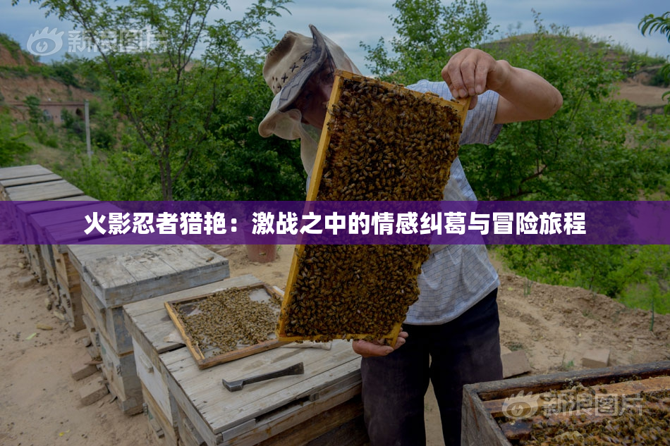 火影忍者猎艳：激战之中的情感纠葛与冒险旅程