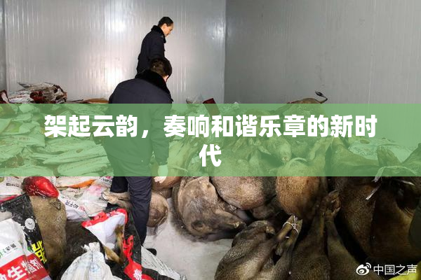 架起云韵，奏响和谐乐章的新时代