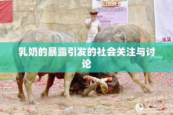 乳奶的暴露引发的社会关注与讨论