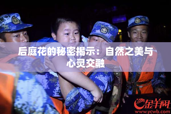 后庭花的秘密揭示：自然之美与心灵交融