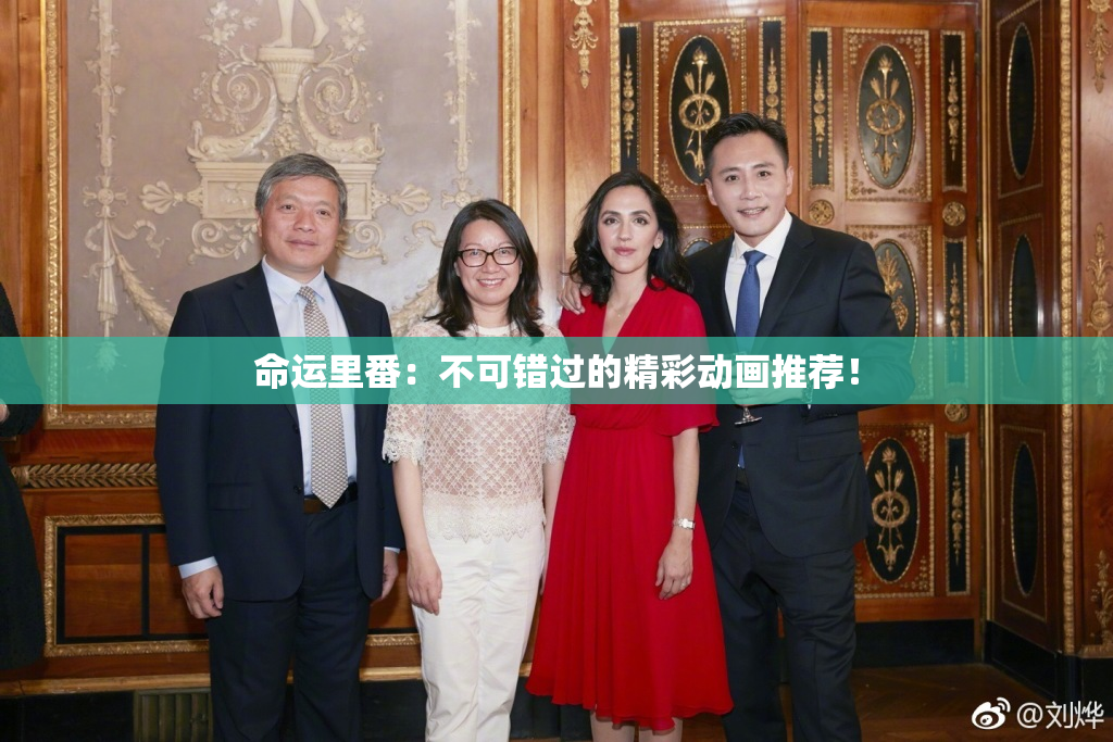 命运里番：不可错过的精彩动画推荐！