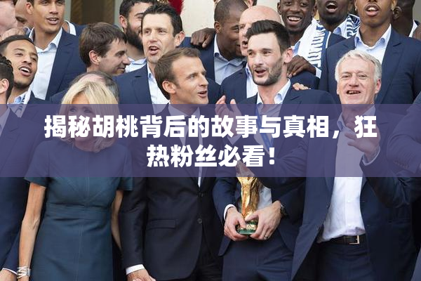 揭秘胡桃背后的故事与真相，狂热粉丝必看！