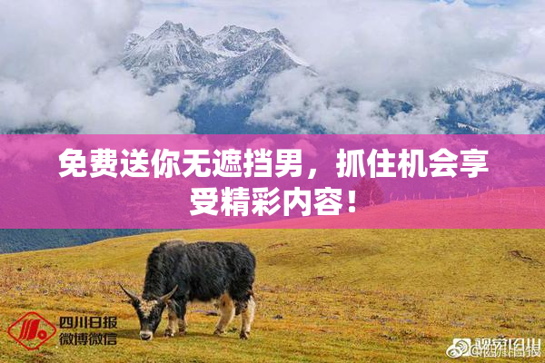 免费送你无遮挡男，抓住机会享受精彩内容！