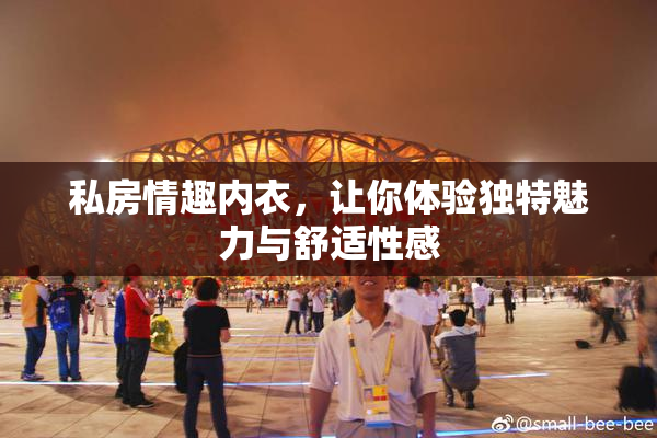 私房情趣内衣，让你体验独特魅力与舒适性感