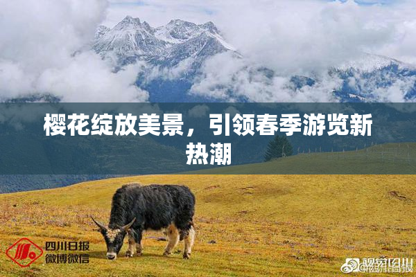 樱花绽放美景，引领春季游览新热潮