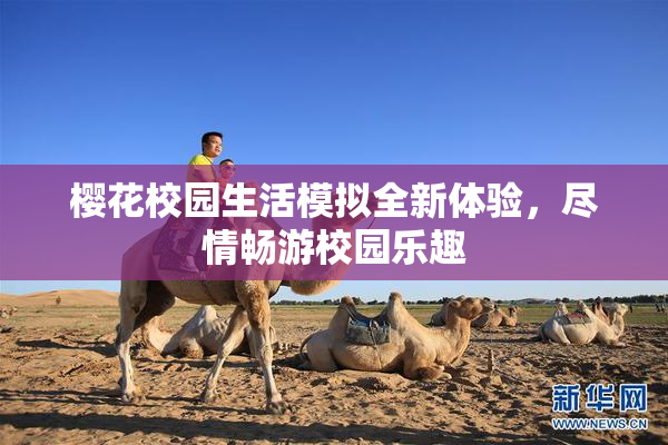樱花校园生活模拟全新体验，尽情畅游校园乐趣