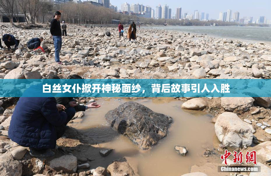 白丝女仆掀开神秘面纱，背后故事引人入胜