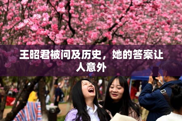 王昭君被问及历史，她的答案让人意外