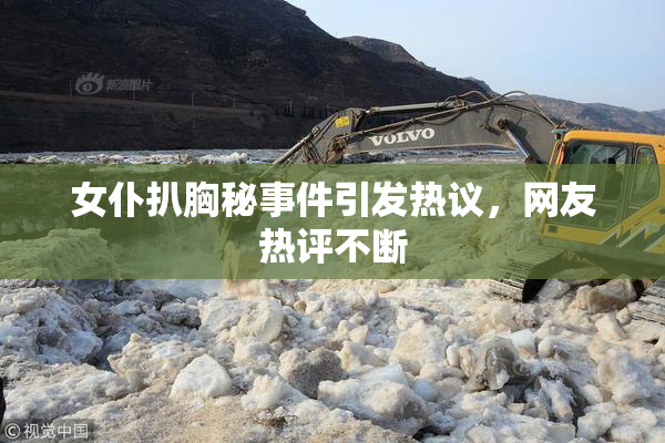 女仆扒胸秘事件引发热议，网友热评不断