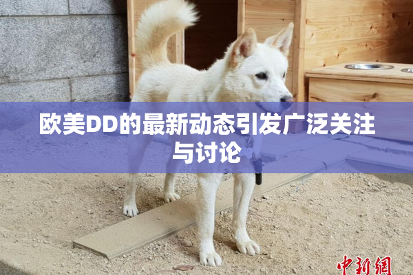 欧美DD的最新动态引发广泛关注与讨论