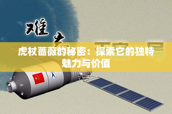 虎杖蔷薇的秘密：探索它的独特魅力与价值