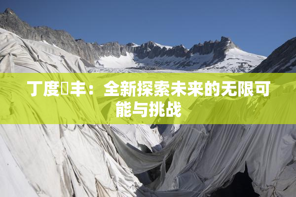 丁度巜丰：全新探索未来的无限可能与挑战