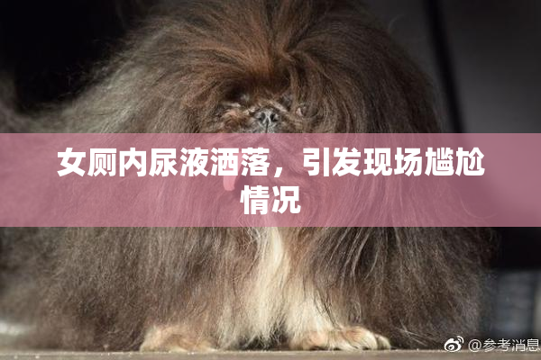 女厕内尿液洒落，引发现场尴尬情况