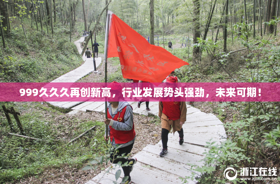999久久久再创新高，行业发展势头强劲，未来可期！