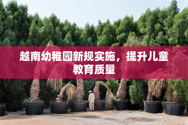 越南幼稚园新规实施，提升儿童教育质量