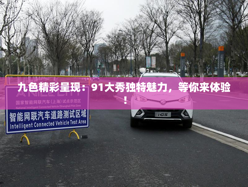 九色精彩呈现：91大秀独特魅力，等你来体验！