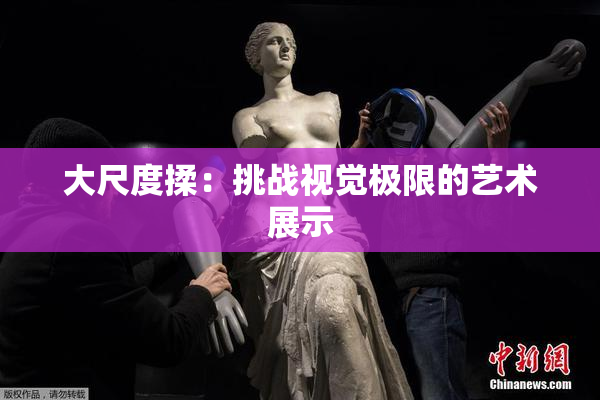大尺度揉：挑战视觉极限的艺术展示