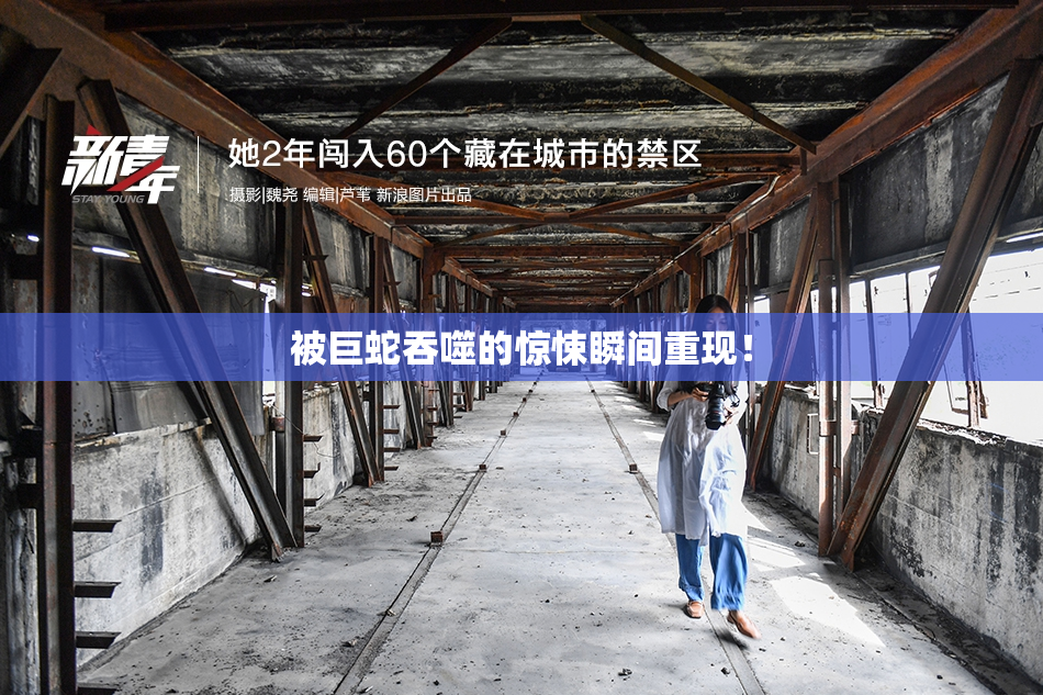 被巨蛇吞噬的惊悚瞬间重现！