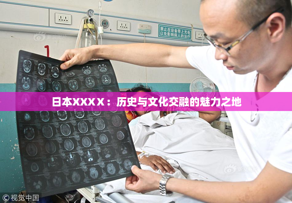 日本XXXⅩ：历史与文化交融的魅力之地