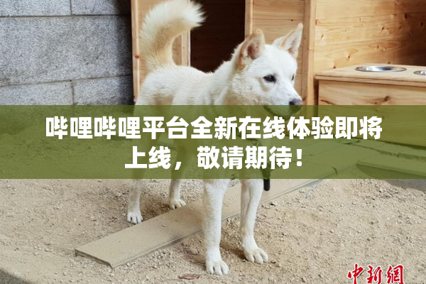 哔哩哔哩平台全新在线体验即将上线，敬请期待！