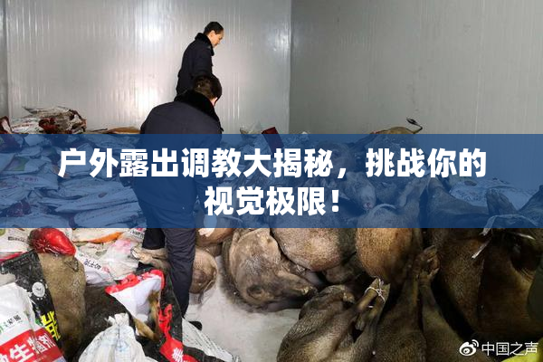 户外露出调教大揭秘，挑战你的视觉极限！
