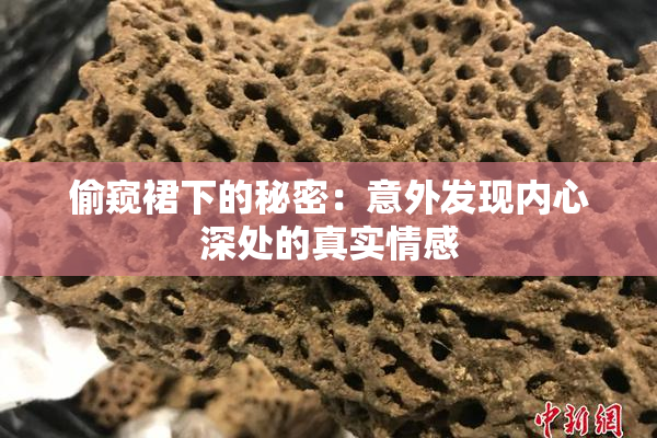偷窥裙下的秘密：意外发现内心深处的真实情感
