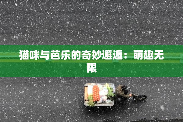 猫咪与芭乐的奇妙邂逅：萌趣无限