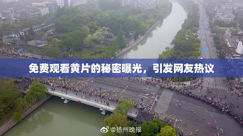 免费观看黄片的秘密曝光，引发网友热议