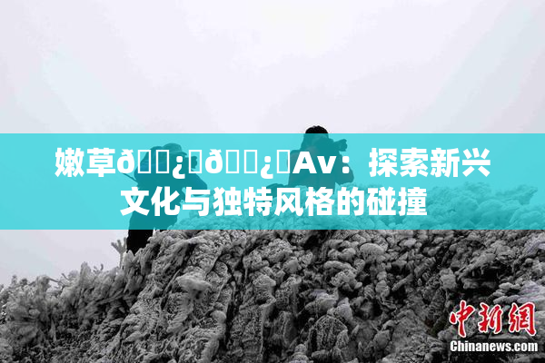 嫩草🌿‌🌿‌Av：探索新兴文化与独特风格的碰撞