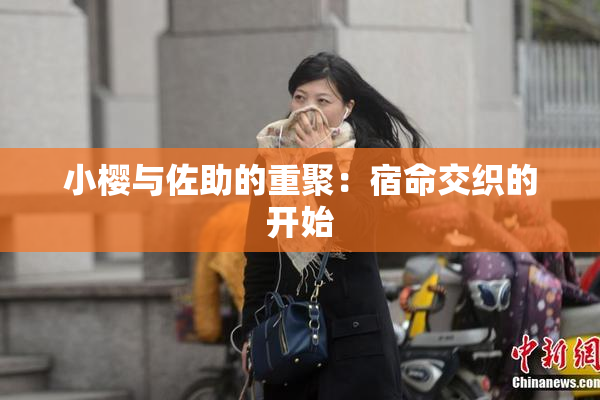 小樱与佐助的重聚：宿命交织的开始