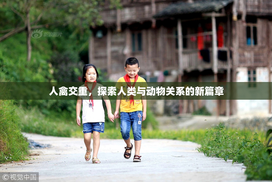 人禽交重，探索人类与动物关系的新篇章