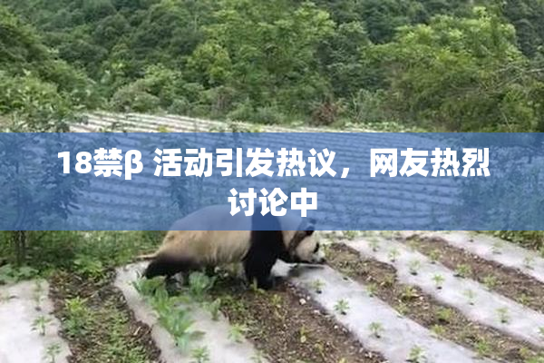 18禁β 活动引发热议，网友热烈讨论中