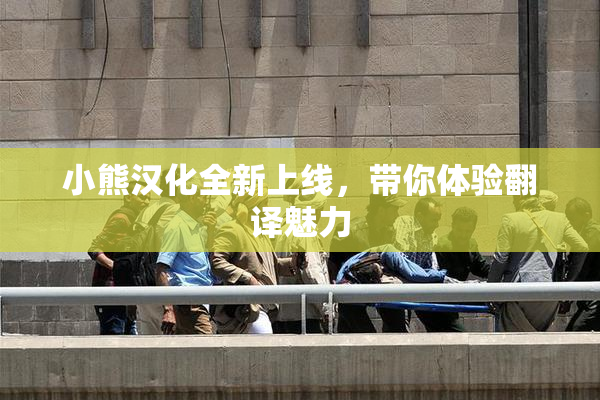 小熊汉化全新上线，带你体验翻译魅力