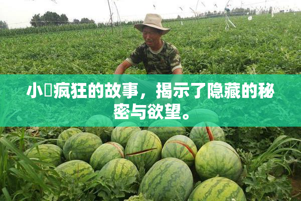 小泬疯狂的故事，揭示了隐藏的秘密与欲望。