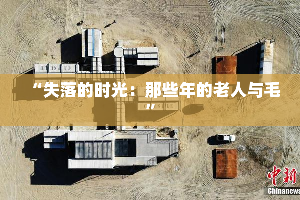“失落的时光：那些年的老人与毛”