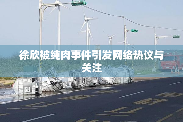 徐欣被纯肉事件引发网络热议与关注