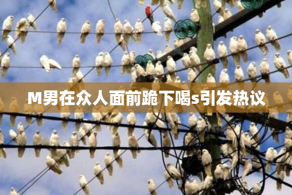 M男在众人面前跪下喝s引发热议