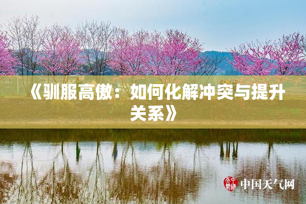 《驯服高傲：如何化解冲突与提升关系》