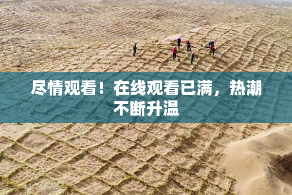 尽情观看！在线观看已满，热潮不断升温