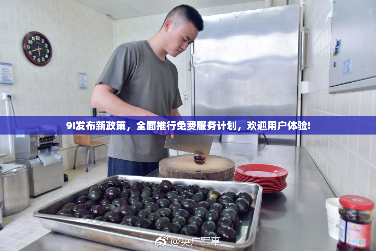 9I发布新政策，全面推行免费服务计划，欢迎用户体验!