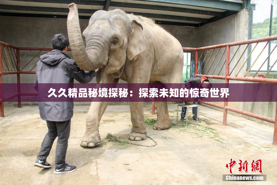 久久精品秘境探秘：探索未知的惊奇世界