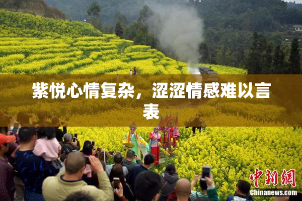 紫悦心情复杂，涩涩情感难以言表