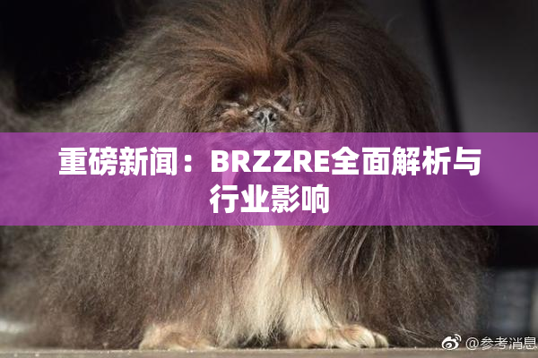 重磅新闻：BRZZRE全面解析与行业影响