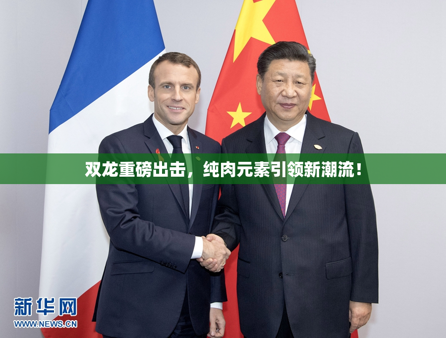 双龙重磅出击，纯肉元素引领新潮流！