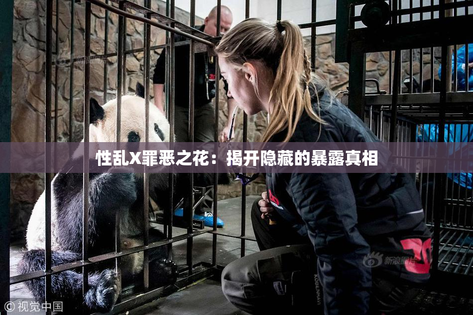 性乱X罪恶之花：揭开隐藏的暴露真相